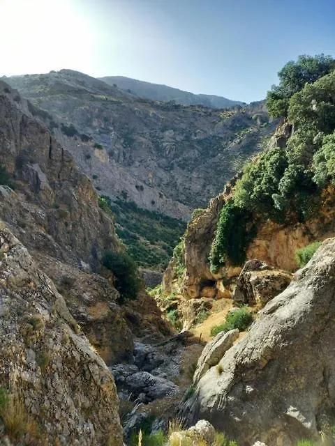 Cave Holidays Andalucia Los Carriones